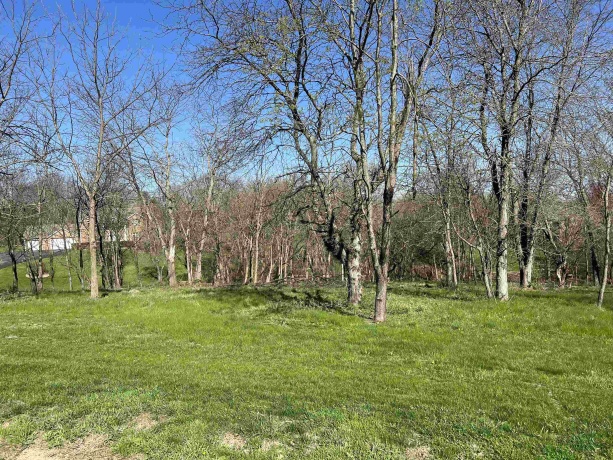 Lot 18 Galena Golf View Estates Phase II, GALENA, Illinois 61036, ,Land,For Sale,Galena Golf View Estates Phase II,202502145