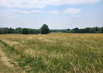 24-132 Lake Carroll, LAKE CARROLL, Illinois 61046, ,Land,For Sale,Lake Carroll,202502186