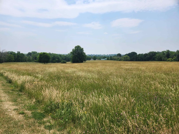 24-132 Lake Carroll, LAKE CARROLL, Illinois 61046, ,Land,For Sale,Lake Carroll,202502186