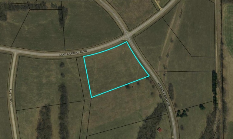 24-132 Lake Carroll, LAKE CARROLL, Illinois 61046, ,Land,For Sale,Lake Carroll,202502186