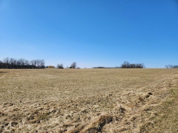 24-132 Lake Carroll, LAKE CARROLL, Illinois 61046, ,Land,For Sale,Lake Carroll,202502186