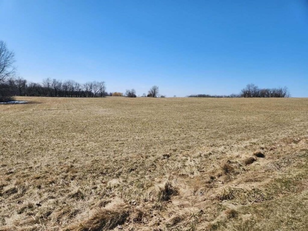 24-132 Lake Carroll, LAKE CARROLL, Illinois 61046, ,Land,For Sale,Lake Carroll,202502186
