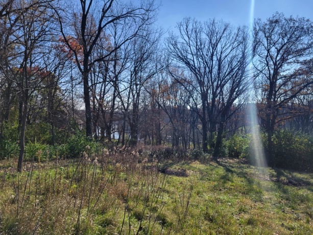 2A33 Hidden Spring, APPLE RIVER, Illinois 61001, ,Land,For Sale,Hidden Spring,202502212