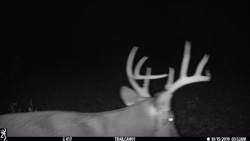 US Bypass 20, FREEPORT, Illinois 61032, ,Land,For Sale,20,202402489