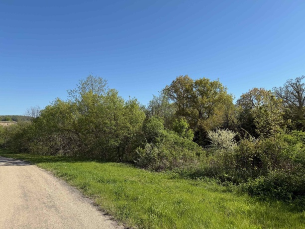 3 Acorn, GALENA, Illinois 61036, ,Land,For Sale,Acorn,202502371