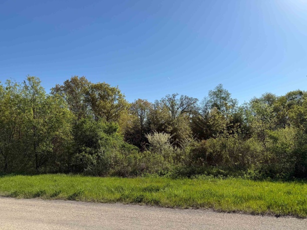 3 Acorn, GALENA, Illinois 61036, ,Land,For Sale,Acorn,202502371