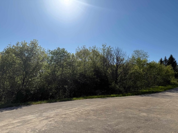 3 Acorn, GALENA, Illinois 61036, ,Land,For Sale,Acorn,202502371