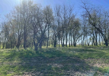 Lot 4 Galena Golf View Estates Phase II, GALENA, Illinois 61036, ,Land,For Sale,Galena Golf View Estates Phase II,202502388