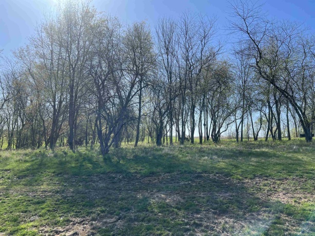 Lot 4 Galena Golf View Estates Phase II, GALENA, Illinois 61036, ,Land,For Sale,Galena Golf View Estates Phase II,202502388