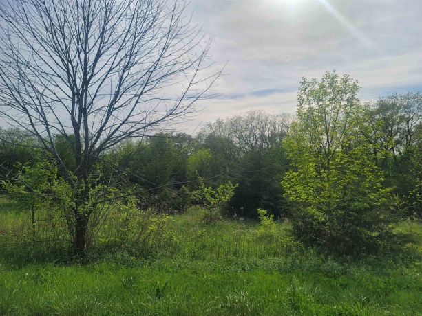 136 Blackhawk, GALENA, Illinois 61036, ,Land,For Sale,Blackhawk,202502399