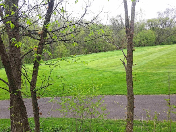 7 Hickory, GALENA, Illinois 61036, ,Land,For Sale,Hickory,202502407