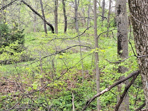 7 Hickory, GALENA, Illinois 61036, ,Land,For Sale,Hickory,202502407