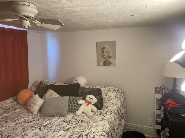 108 North, PEARL CITY, Illinois 61062, 3 Bedrooms Bedrooms, ,1 BathroomBathrooms,House,For Sale,North,202502420