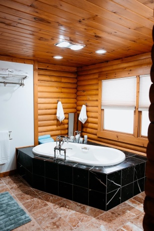 2105 Elizabeth Scales Mound, ELIZABETH, Illinois 61028, 4 Bedrooms Bedrooms, ,4 BathroomsBathrooms,House,For Sale,Elizabeth Scales Mound,202502434