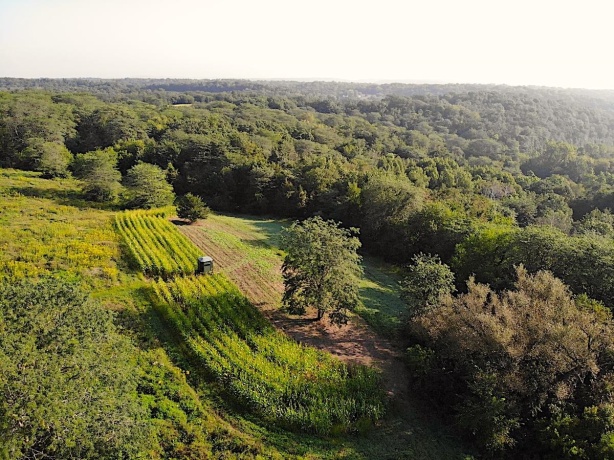 2105 Elizabeth Scales Mound, ELIZABETH, Illinois 61028, 4 Bedrooms Bedrooms, ,4 BathroomsBathrooms,House,For Sale,Elizabeth Scales Mound,202502434