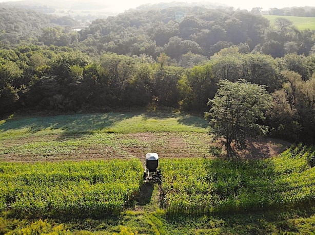 2105 Elizabeth Scales Mound, ELIZABETH, Illinois 61028, 4 Bedrooms Bedrooms, ,4 BathroomsBathrooms,House,For Sale,Elizabeth Scales Mound,202502434