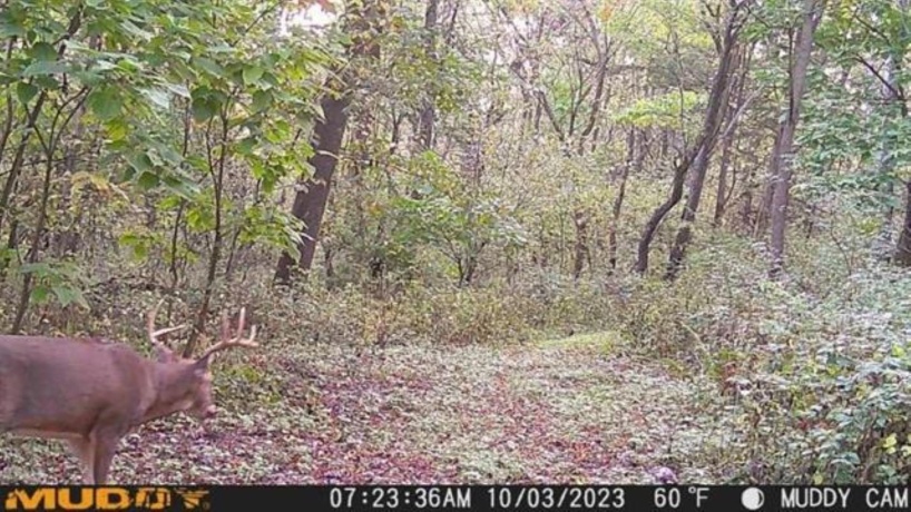 2105 Elizabeth Scales Mound, ELIZABETH, Illinois 61028, 4 Bedrooms Bedrooms, ,4 BathroomsBathrooms,House,For Sale,Elizabeth Scales Mound,202502434