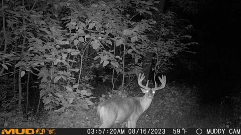 2105 Elizabeth Scales Mound, ELIZABETH, Illinois 61028, 4 Bedrooms Bedrooms, ,4 BathroomsBathrooms,House,For Sale,Elizabeth Scales Mound,202502434