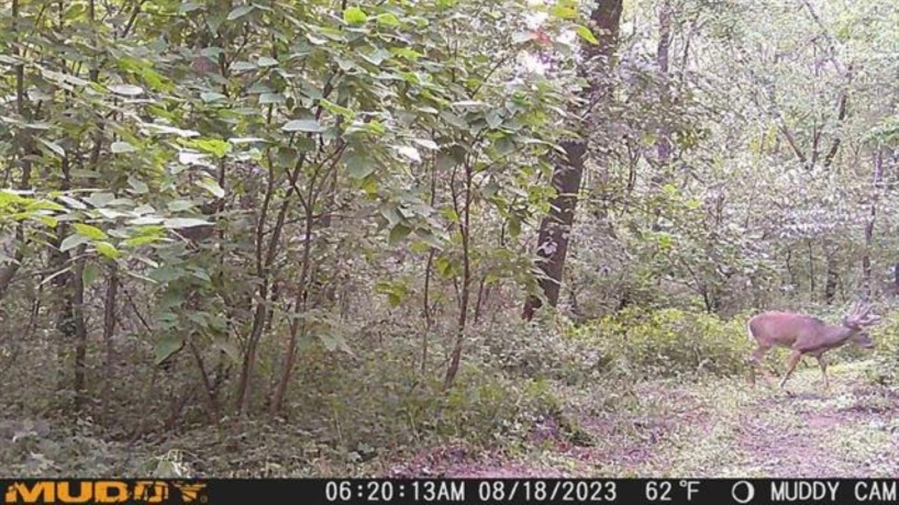 2105 Elizabeth Scales Mound, ELIZABETH, Illinois 61028, 4 Bedrooms Bedrooms, ,4 BathroomsBathrooms,House,For Sale,Elizabeth Scales Mound,202502434