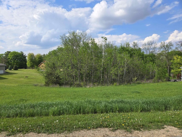 6A13 Hampton, APPLE RIVER, Illinois 61001, ,Land,For Sale,Hampton,202502451