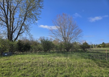12A66 McKinley, APPLE RIVER, Illinois 61001, ,Land,For Sale,McKinley,202502453
