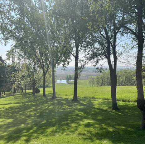 551 Mapes, STOCKTON, Illinois 61085, 3 Bedrooms Bedrooms, ,3 BathroomsBathrooms,House,For Sale,Mapes,202502460