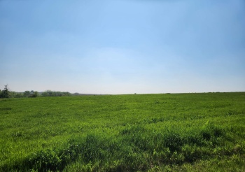 31-80 Country Club, LAKE CARROLL, Illinois 61046, ,Land,For Sale,Country Club,202502501