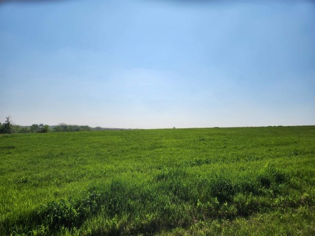 31-80 Country Club, LAKE CARROLL, Illinois 61046, ,Land,For Sale,Country Club,202502501