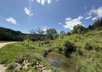 8244 Creek Crossing, GALENA, Illinois 61036, ,Land,For Sale,Creek Crossing,202500323
