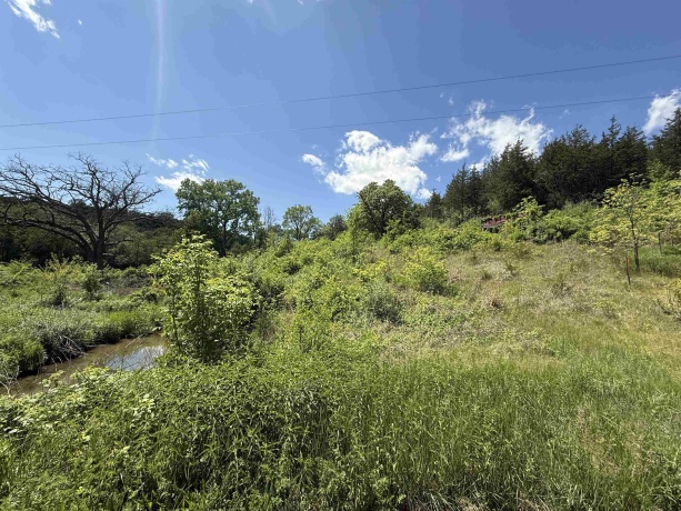 8244 Creek Crossing, GALENA, Illinois 61036, ,Land,For Sale,Creek Crossing,202500323