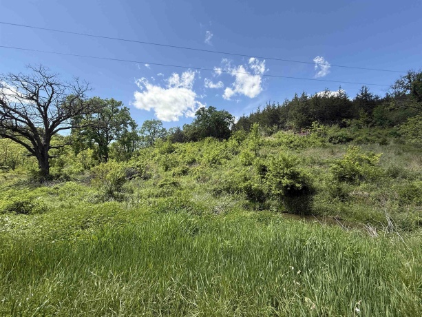 8244 Creek Crossing, GALENA, Illinois 61036, ,Land,For Sale,Creek Crossing,202500323