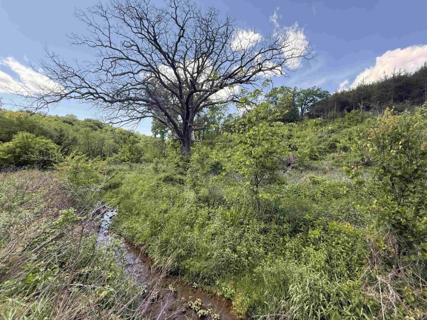 8244 Creek Crossing, GALENA, Illinois 61036, ,Land,For Sale,Creek Crossing,202500323