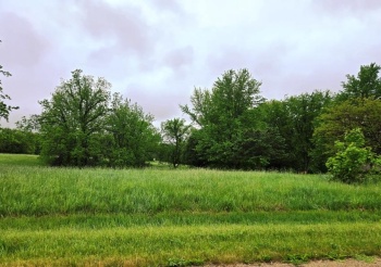 3-479 SHADY LANE, LAKE CARROLL, Illinois 61046, ,Land,For Sale,SHADY LANE,202502602