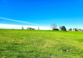 23-206 BLACKBERRY CT, LAKE CARROLL, Illinois 61046, ,Land,For Sale,BLACKBERRY CT,202502604