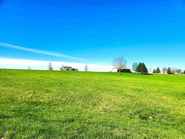 23-206 BLACKBERRY CT, LAKE CARROLL, Illinois 61046, ,Land,For Sale,BLACKBERRY CT,202502604