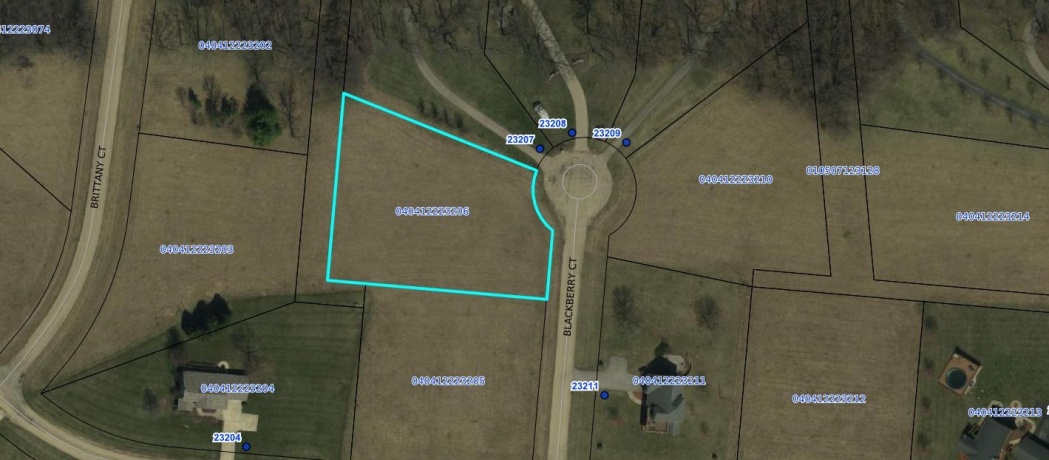23-206 BLACKBERRY CT, LAKE CARROLL, Illinois 61046, ,Land,For Sale,BLACKBERRY CT,202502604