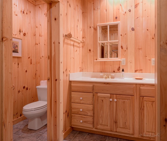 55 Stony, GALENA, Illinois 61036, 5 Bedrooms Bedrooms, ,5 BathroomsBathrooms,House,For Sale,Stony,202502717