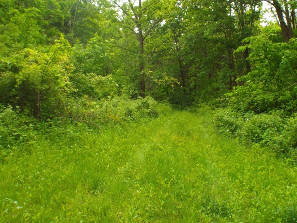 1904 US Rt 20 East, ELIZABETH, Illinois 61028, ,Land,For Sale,US Rt 20 East,202502772