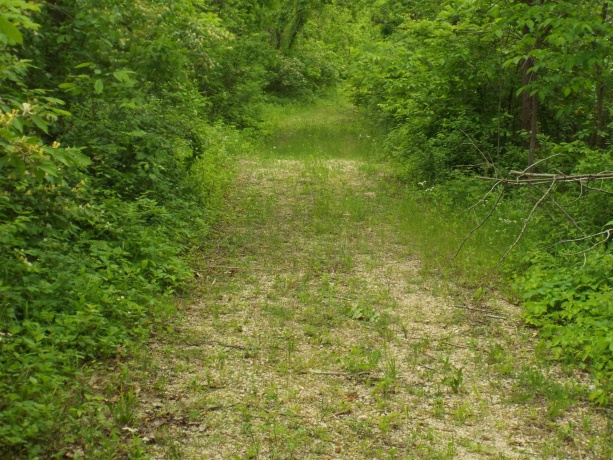 1904 US Rt 20 East, ELIZABETH, Illinois 61028, ,Land,For Sale,US Rt 20 East,202502772