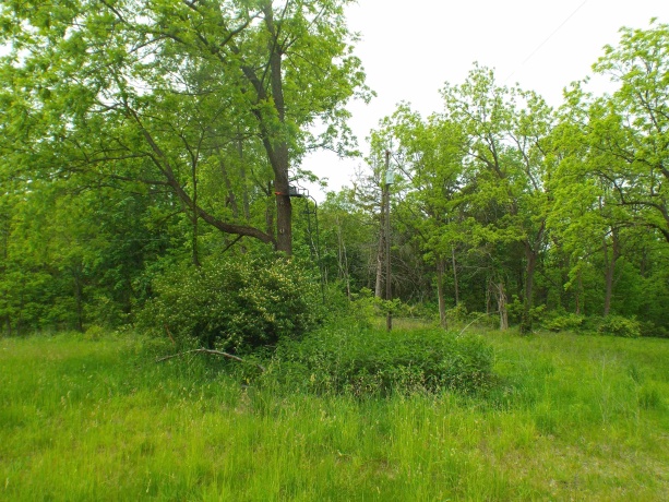 1904 US Rt 20 East, ELIZABETH, Illinois 61028, ,Land,For Sale,US Rt 20 East,202502772