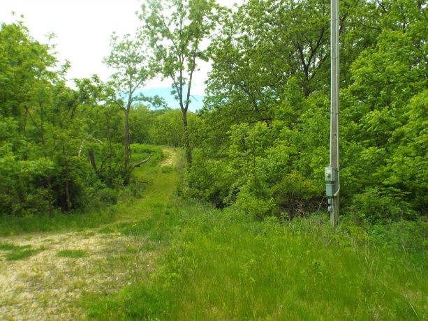 1904 US Rt 20 East, ELIZABETH, Illinois 61028, ,Land,For Sale,US Rt 20 East,202502772