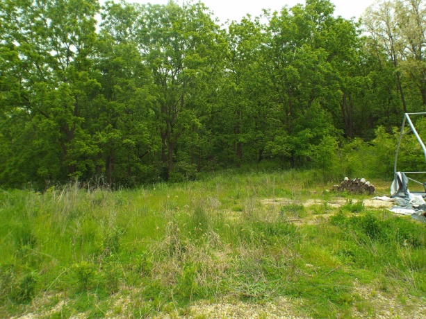 1904 US Rt 20 East, ELIZABETH, Illinois 61028, ,Land,For Sale,US Rt 20 East,202502772