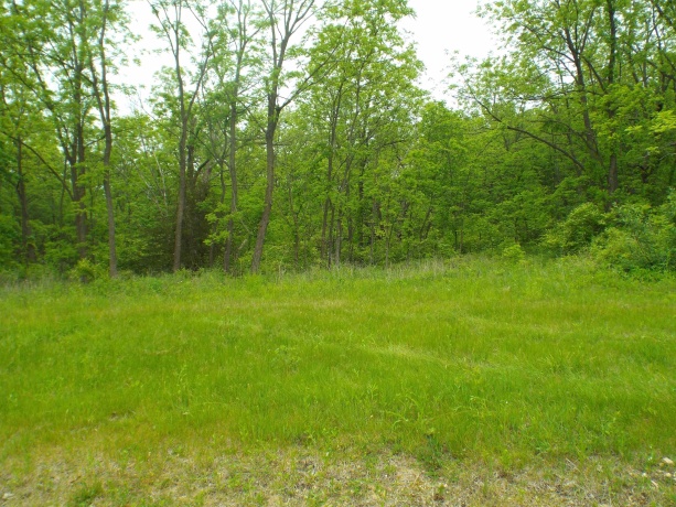 1904 US Rt 20 East, ELIZABETH, Illinois 61028, ,Land,For Sale,US Rt 20 East,202502772