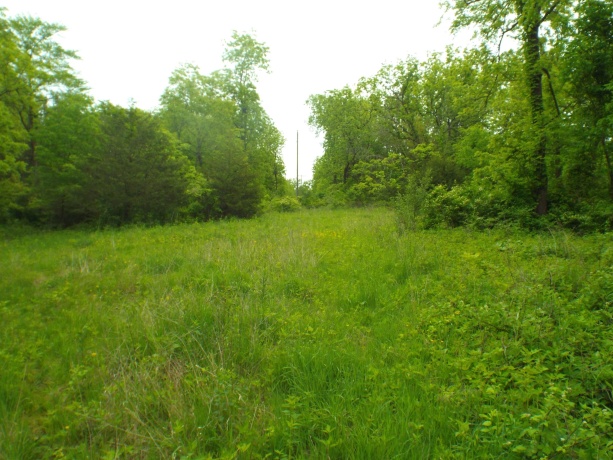 1904 US Rt 20 East, ELIZABETH, Illinois 61028, ,Land,For Sale,US Rt 20 East,202502772