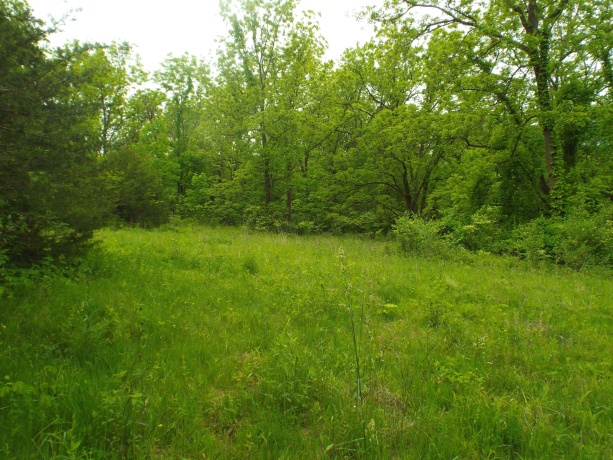 1904 US Rt 20 East, ELIZABETH, Illinois 61028, ,Land,For Sale,US Rt 20 East,202502772