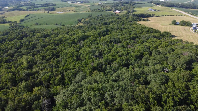 1904 US Rt 20 East, ELIZABETH, Illinois 61028, ,Land,For Sale,US Rt 20 East,202502772