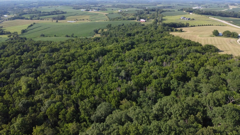 1904 US Rt 20 East, ELIZABETH, Illinois 61028, ,Land,For Sale,US Rt 20 East,202502772