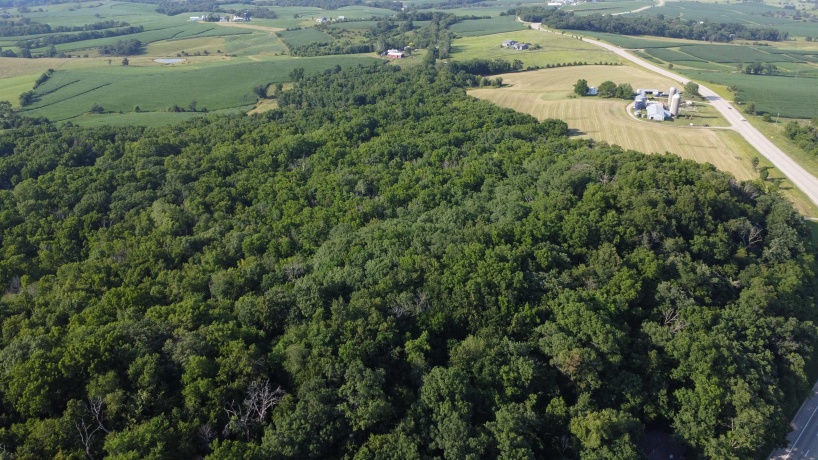 1904 US Rt 20 East, ELIZABETH, Illinois 61028, ,Land,For Sale,US Rt 20 East,202502772
