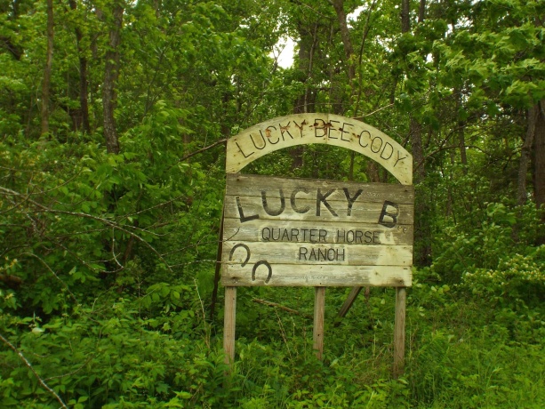 1904 US Rt 20 East, ELIZABETH, Illinois 61028, ,Land,For Sale,US Rt 20 East,202502772