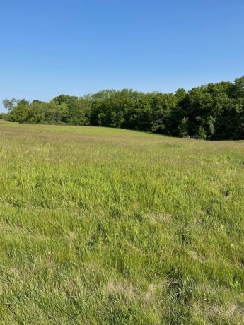 24-8 HIDDEN RANCH, LANARK, Illinois 61046, ,Land,For Sale,HIDDEN RANCH,202502907